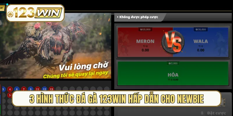 3 hình thức đá gà 123Win hấp dẫn cho newbie